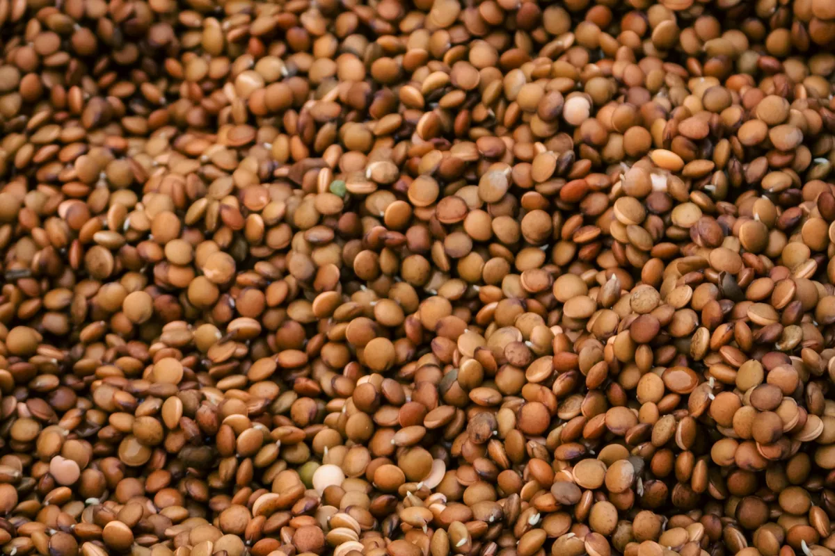 Close-up of lentils, the raw material for pulse milling