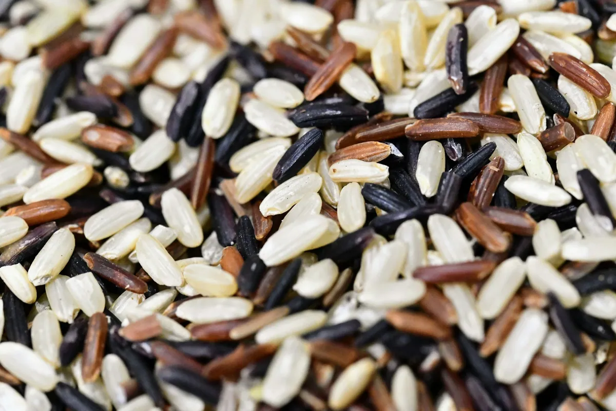 Close-up of mixed rice grains